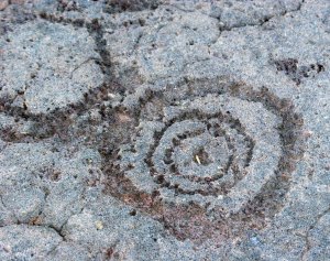 concentric circles petroglyph, rock carving