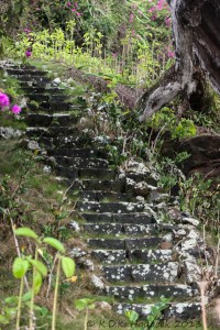 stone stairs, Hawaii