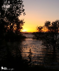 sunset, Barr Lake, Colorado
