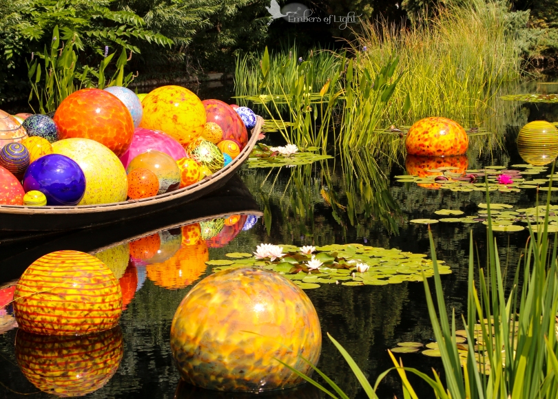 Chihuly glass sculpture, floating glass orbs, water lilies, Denver Botanical Garden