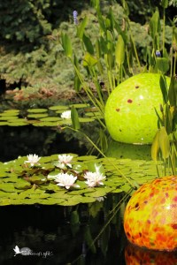 Chihuly glass sculpture, glass orbs, water lilies, Denver Botanical Garden