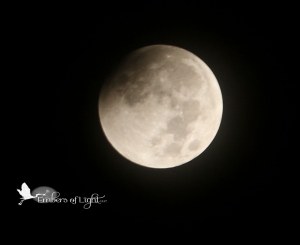 eclipsed moon, partial lunar eclipse