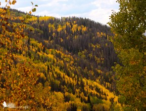 Near Steamboat Springs, Colorado - before the massive snowfall