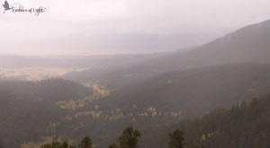 mist, view in Rocky Mountain National Park, RMNP