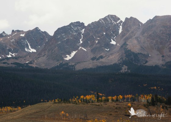 Rocky Mountains, gold aspens, Colorado