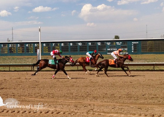 Horses racing