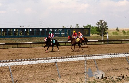 horses racing