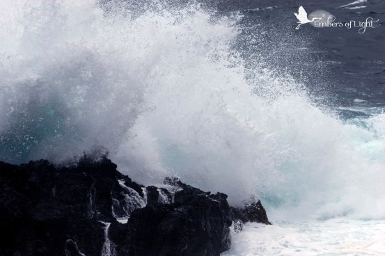 Laupahoehoe park, wave