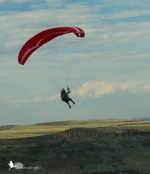 paraglider