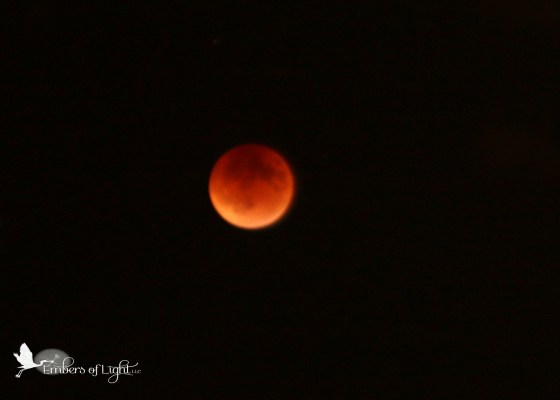 lunar eclipse, blood moon