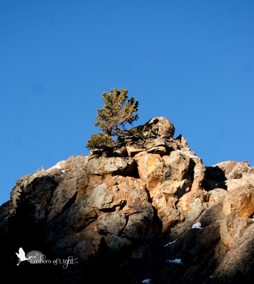 rocky craig, lone pine