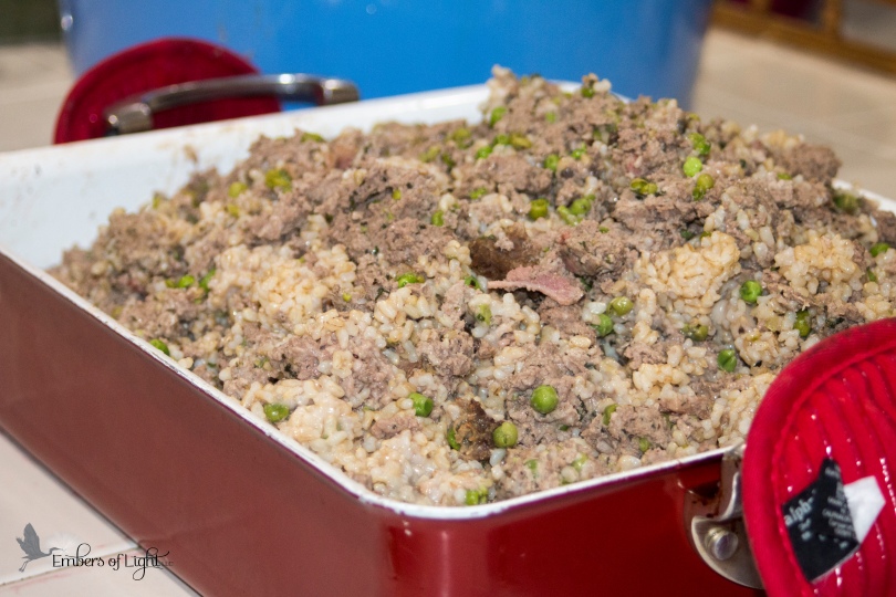 homemade dog food