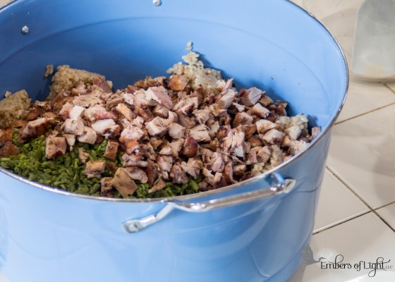 homemade dog food