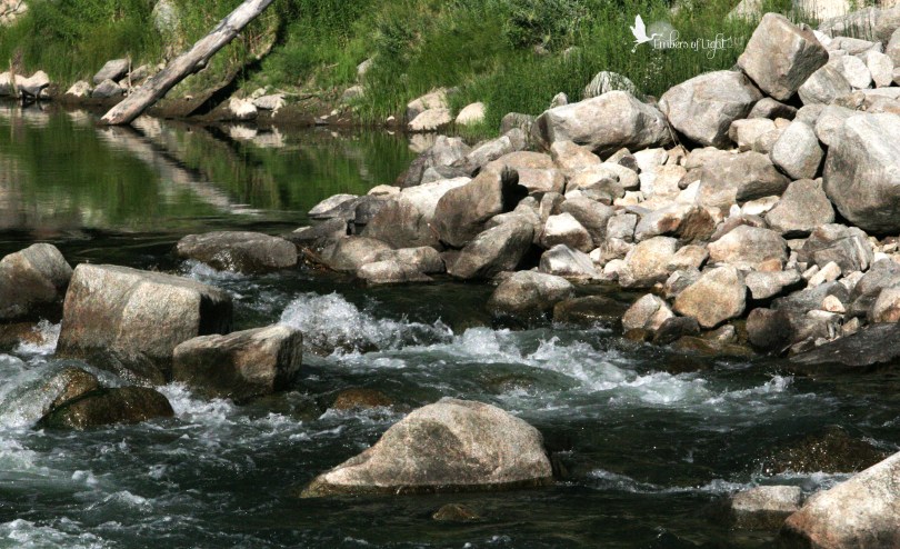 North Umpqua River, stream