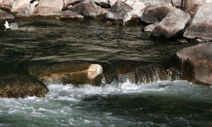 stream, North Umpqua river