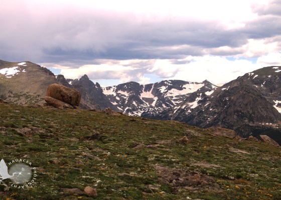 tundra, Rocky Mountain National Park, peaks