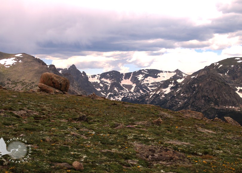 tundra, Rocky Mountain National Park, peaks