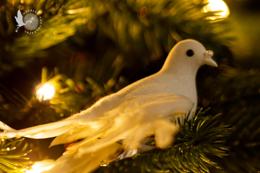 dove ornament