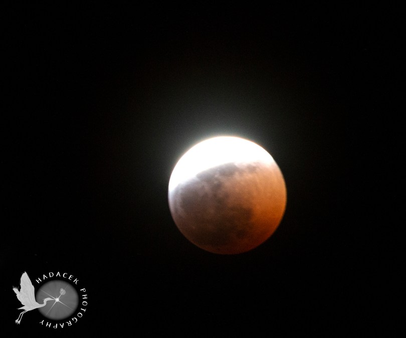 lunar eclipse