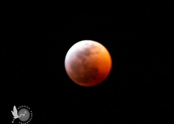 total lunar eclipse