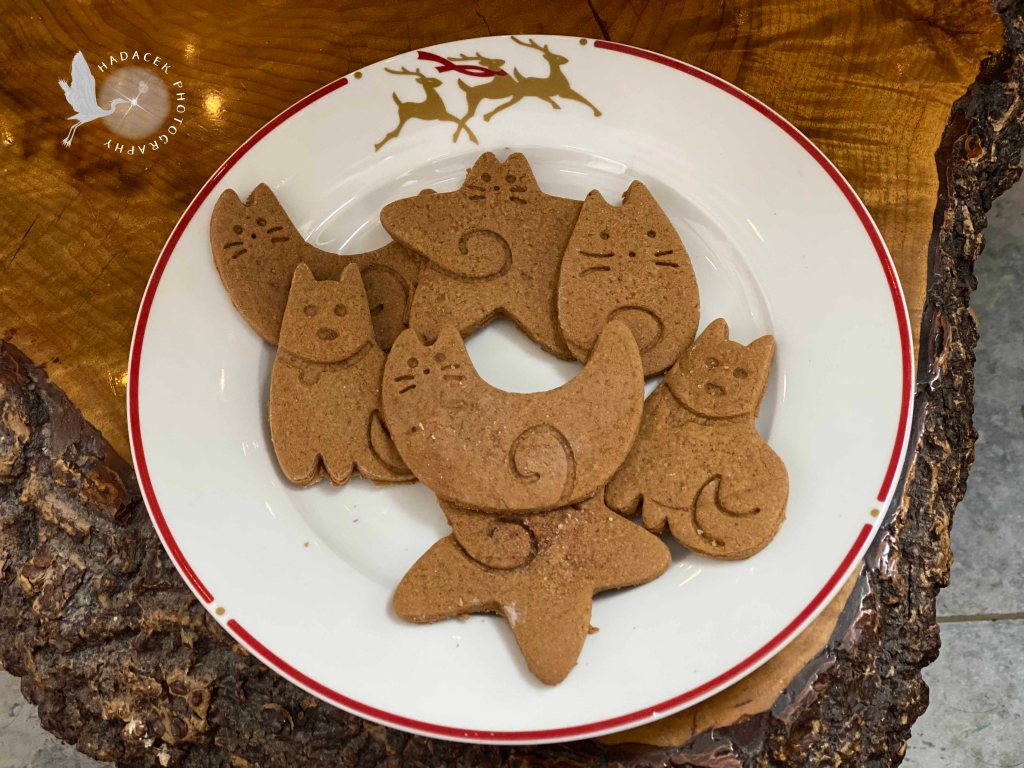 gingerbread cookies cats and dogs