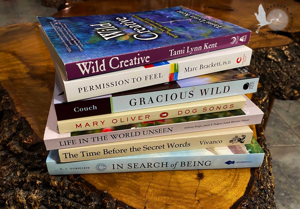 A stack of books, ready to be read, laying on a wooden table.