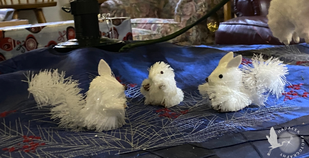 Three white squirrel ornaments on the table beneath the tree. They've lost their hangers, but we still love them.