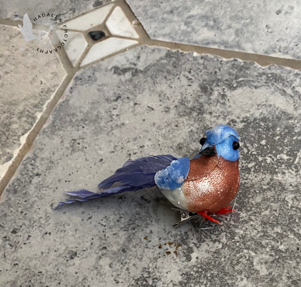 A small bird ornament looks a bit tattered and worn. It's missing a few feathers, and lays on floor.