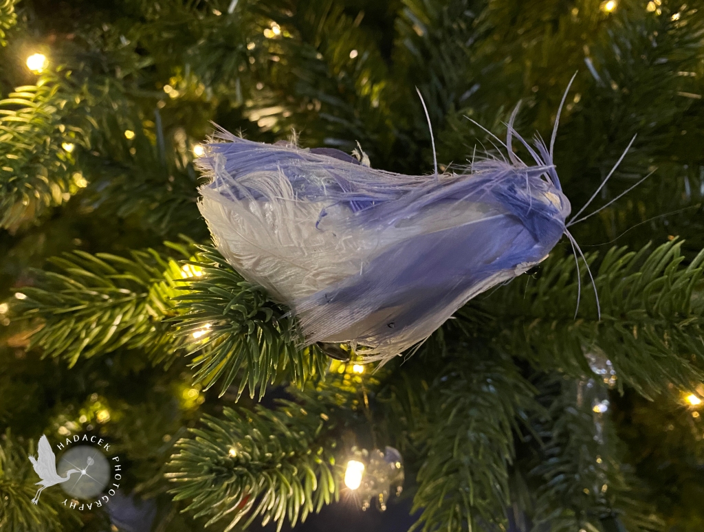 A tattered blue bird ornament has lost its eyes, beak, and tail. It still brings color to the tree, but it is clearly the cat's favoite.